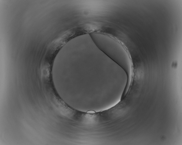 X0000111800570200909031232