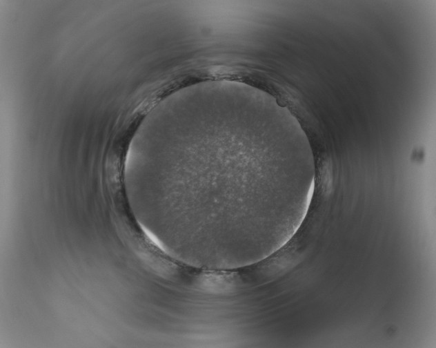 X0000111800571200909031232