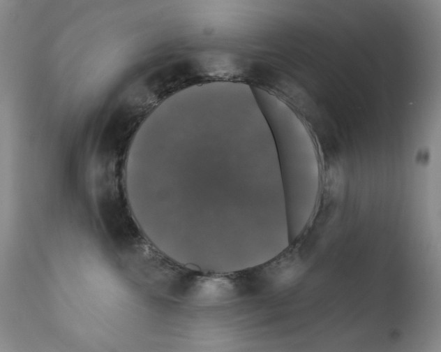 X0000111800572200909031232