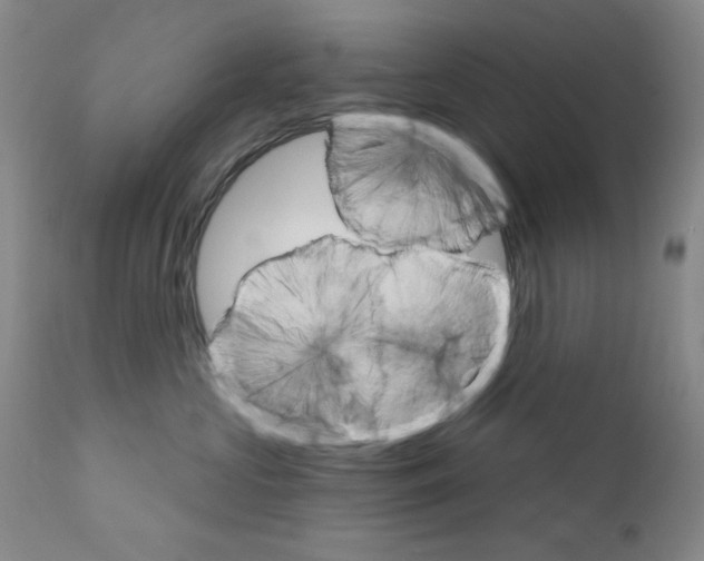 X0000111800573200909031232