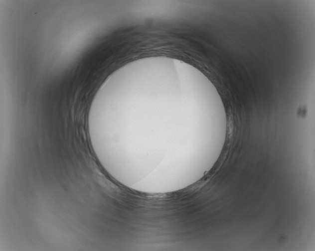 X0000111800574200909031232