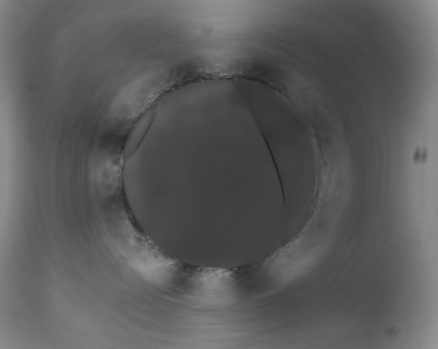 X0000111800576200909031232