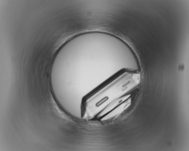 X0000111800577200909031231