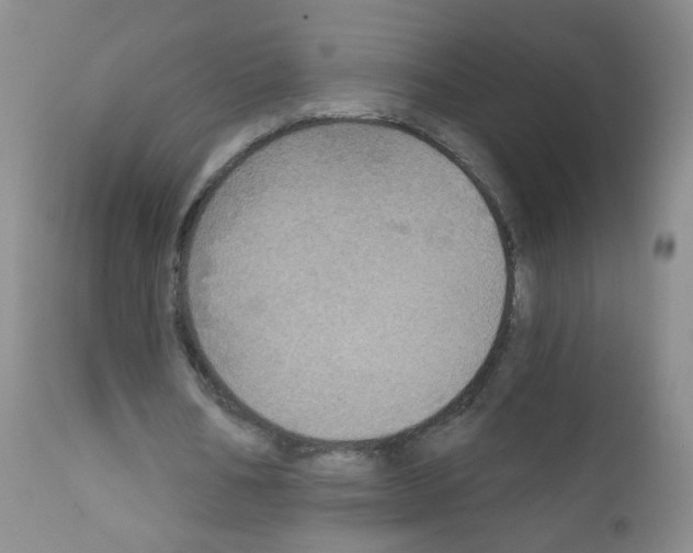 X0000111800578200909031231