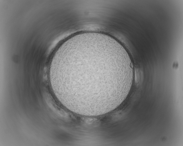 X0000111800579200909031231