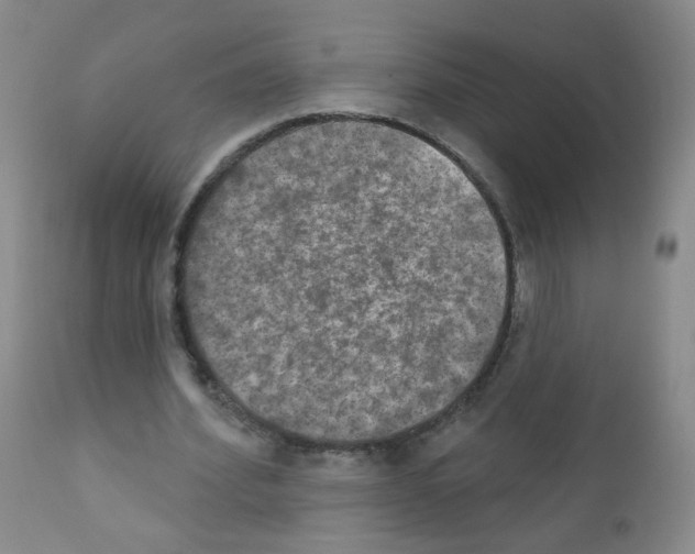 X0000111800580200909031231