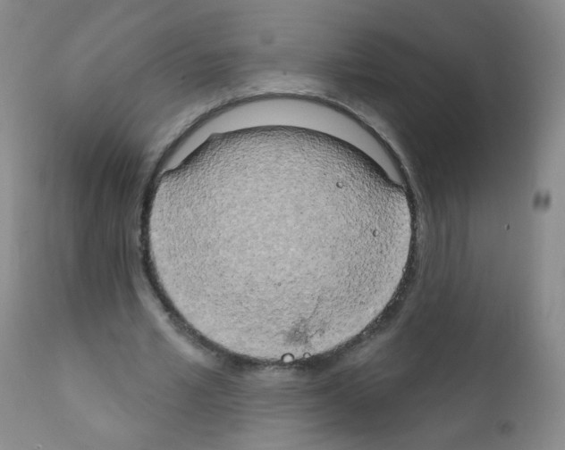 X0000111800581200909031231