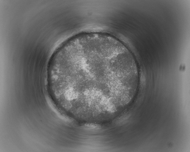 X0000111800582200909031231