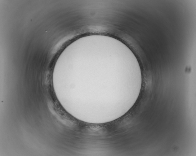 X0000111800583200909031231