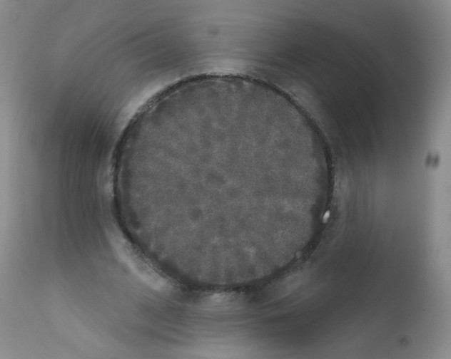 X0000111800584200909031231