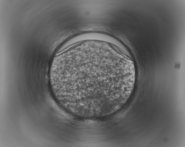 X0000111800585200909031231