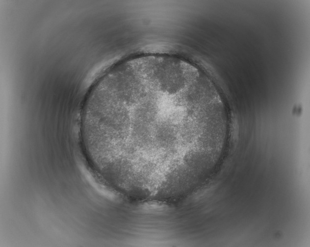 X0000111800586200909031231