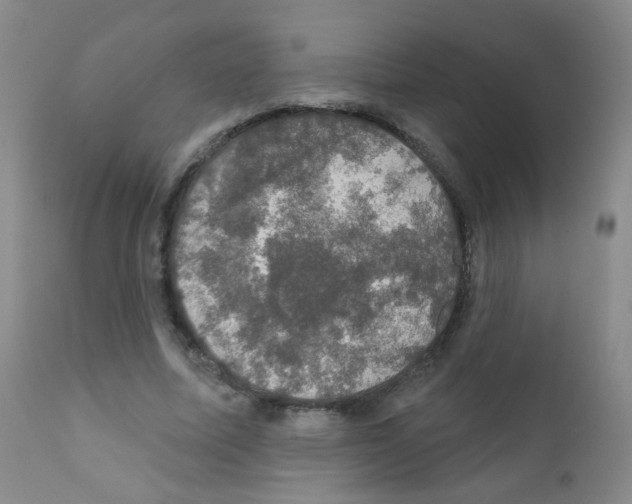 X0000111800587200909031231