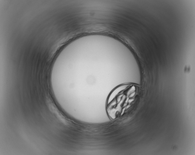 X0000111800589200909031231