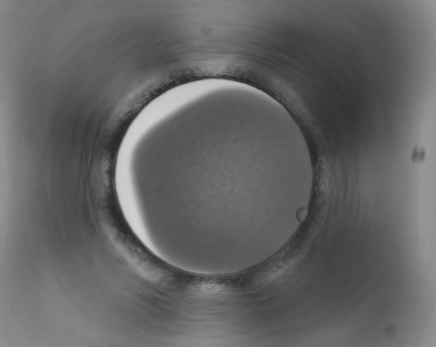 X0000111800590200909031231