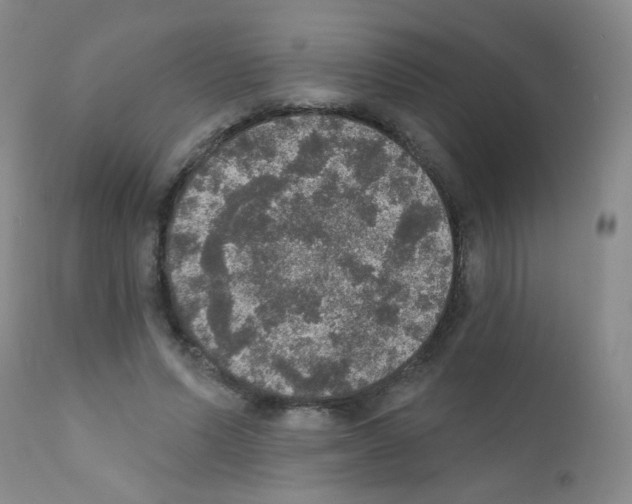 X0000111800591200909031231