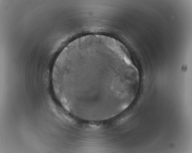 X0000111800592200909031231