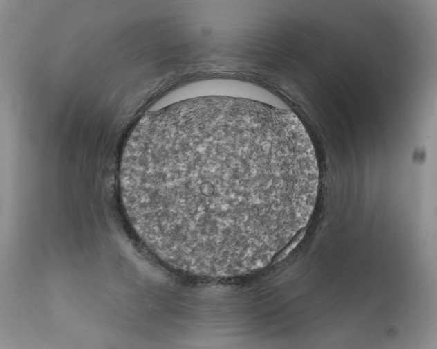 X0000111800593200909031231
