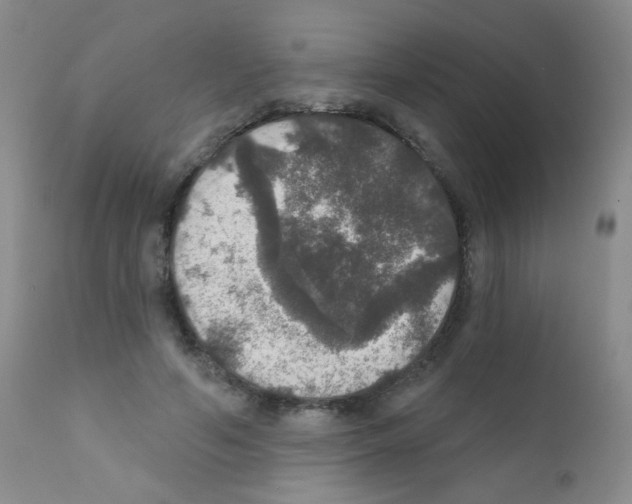 X0000111800594200909031231
