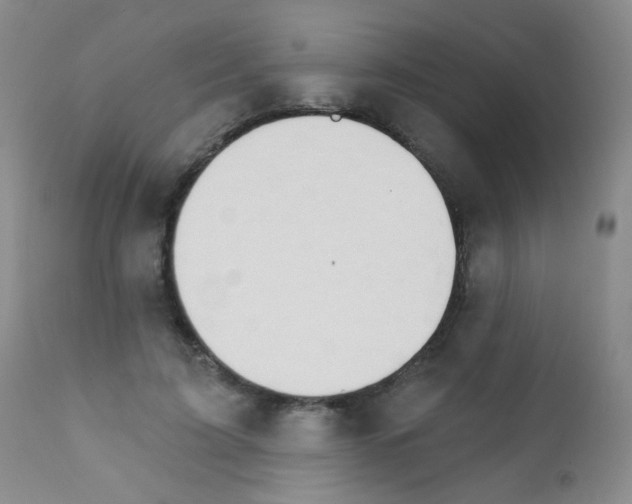 X0000111800595200909031231