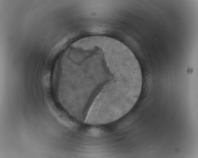 X0000111800596200909031231
