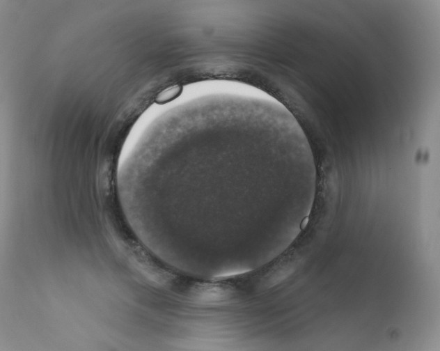 X0000111800597200909031231