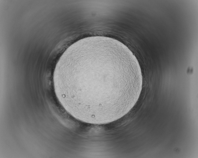 X0000111800599200909031231