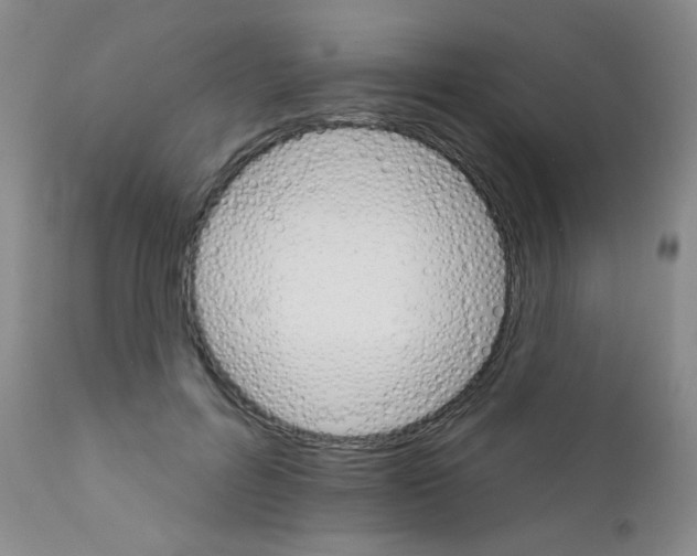 X0000111800600200909031231