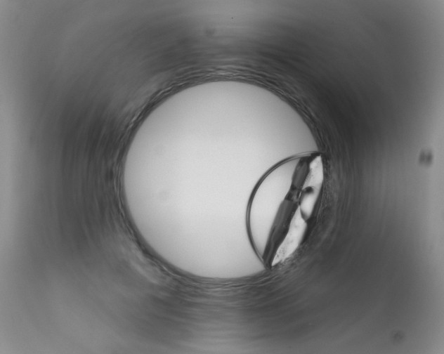 X0000111800601200909031231