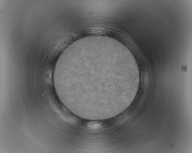 X0000111800602200909031231