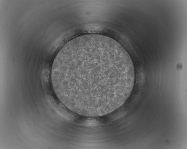 X0000111800604200909031231