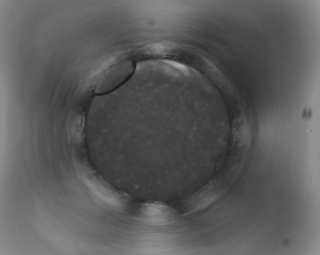 X0000111800605200909031231