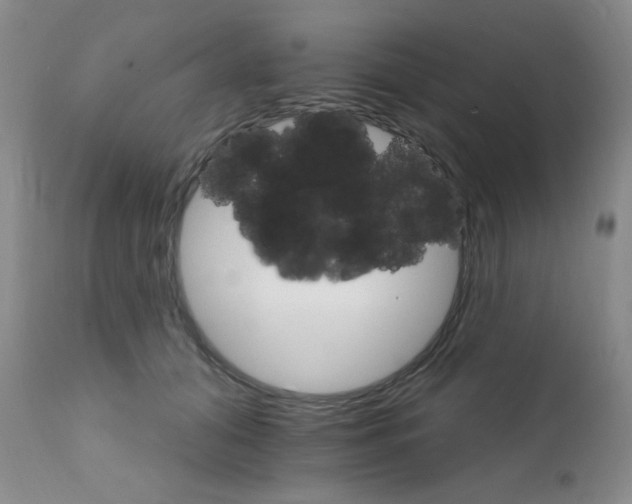 X0000111800608200909031231