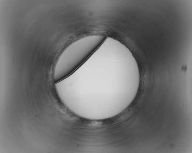 X0000111800609200909031231