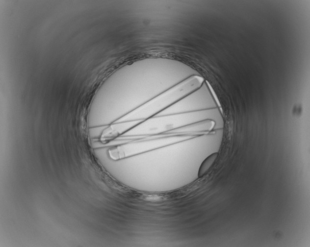 X0000111800611200909031231