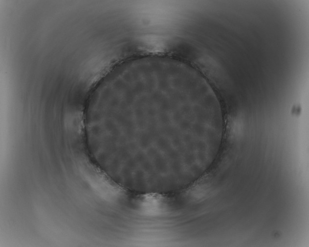 X0000111800612200909031231