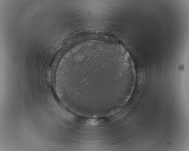 X0000111800613200909031231