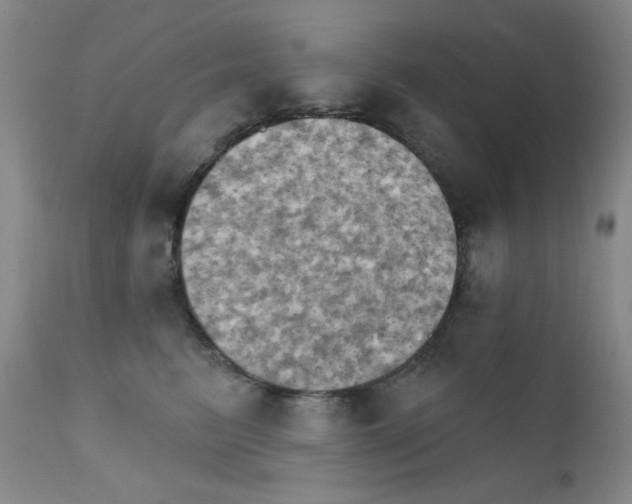 X0000111800615200909031231