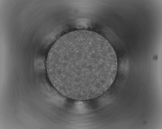 X0000111800616200909031231