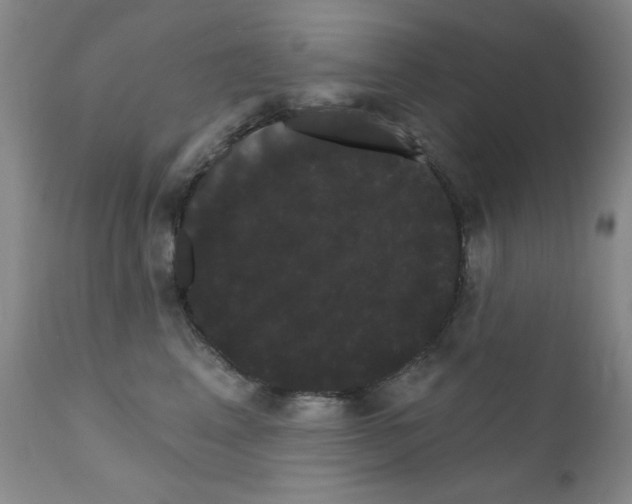 X0000111800617200909031231