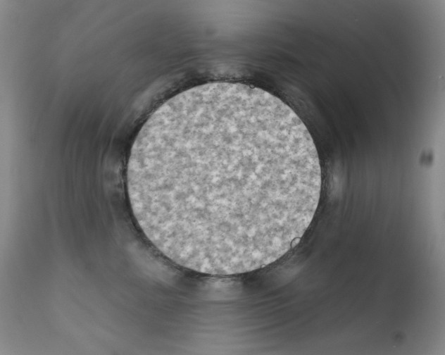 X0000111800619200909031231