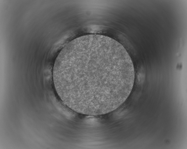 X0000111800620200909031231