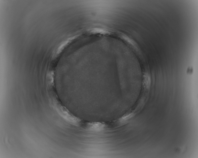X0000111800621200909031231
