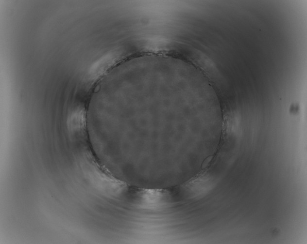 X0000111800623200909031231