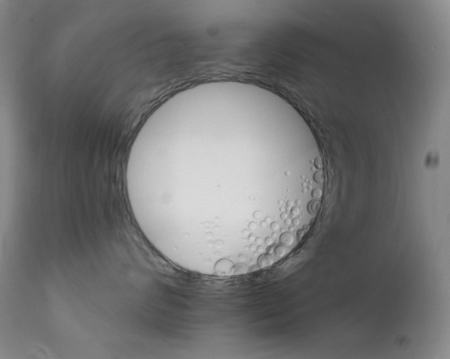 X0000111800624200909031231