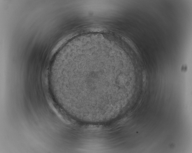 X0000111800626200909031230