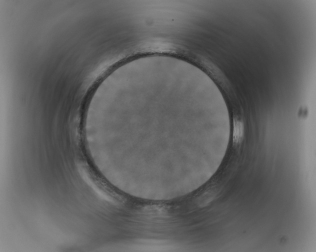 X0000111800627200909031230