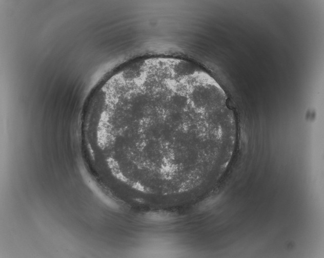 X0000111800630200909031230