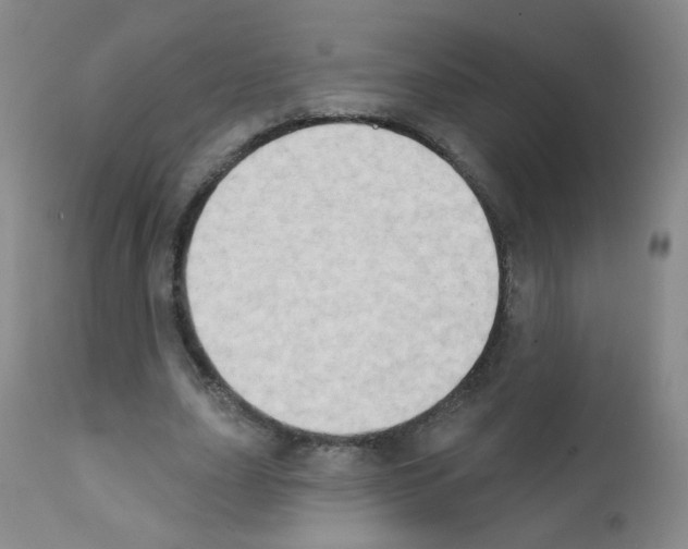 X0000111800631200909031230