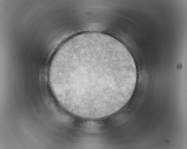 X0000111800632200909031230